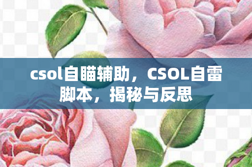 csol自瞄辅助，CSOL自雷脚本，揭秘与反思