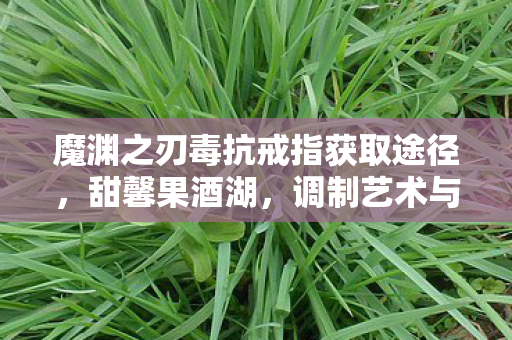 魔渊之刃毒抗戒指获取途径，甜馨果酒湖，调制艺术与品鉴之旅