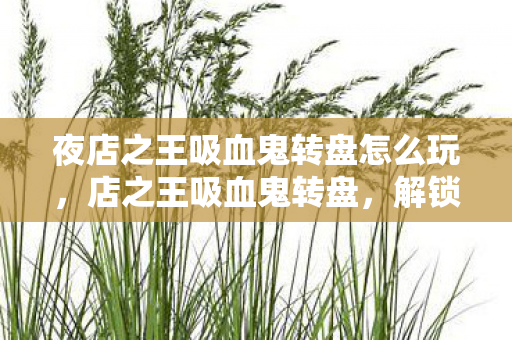 夜店之王吸血鬼转盘怎么玩，店之王吸血鬼转盘，解锁古老传说的神秘钥匙