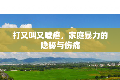 打又叫又喊疼，家庭暴力的隐秘与伤痛