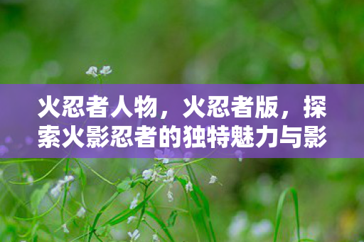 火忍者人物，火忍者版，探索火影忍者的独特魅力与影响