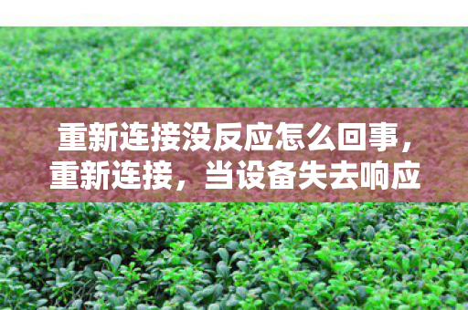 重新连接没反应怎么回事，重新连接，当设备失去响应时的应对之策