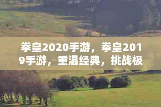 拳皇2020手游，拳皇2019手游，重温经典，挑战极限