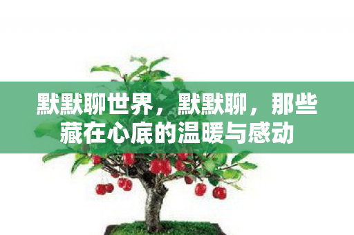 那些藏在心底的温暖与感动图片