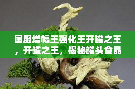 国服增幅王强化王开罐之王,开罐之王,揭秘罐头食品背后的故事 国服增幅王强化王开罐之王,开罐之王,揭秘罐头食品背后的故事