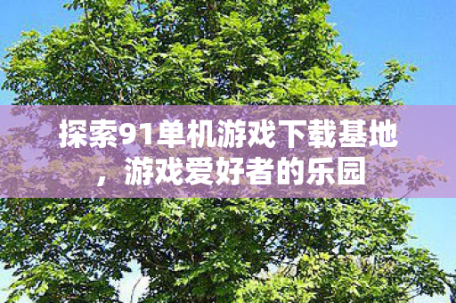 探索91单机游戏下载基地，游戏爱好者的乐园