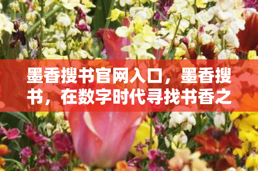 墨香搜书官网入口，墨香搜书，在数字时代寻找书香之旅