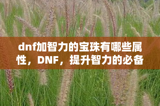 dnf加智力的宝珠有哪些属性,DNF,提升智力的必备宝珠全解析 dnf加智力的宝珠有哪些属性,DNF,提升智力的必备宝珠全解析