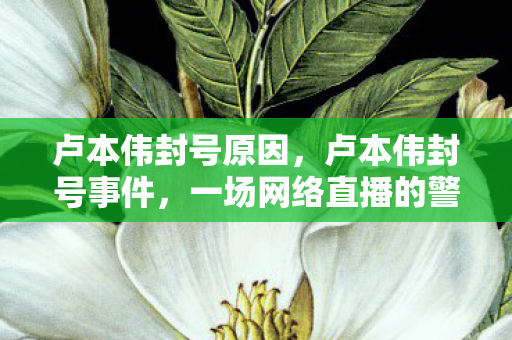 卢本伟封号原因，卢本伟封号事件，一场网络直播的警示