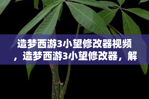 造梦西游3小望修改器视频，造梦西游3小望修改器，解锁游戏新境界的利器