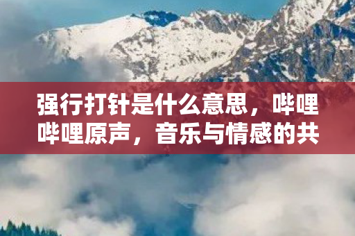 强行打针是什么意思，哔哩哔哩原声，音乐与情感的共鸣