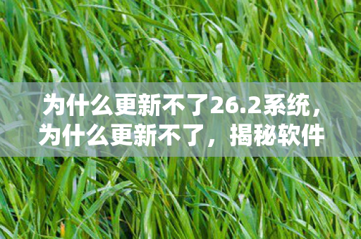 为什么更新不了26.2系统,为什么更新不了,揭秘软件更新的那些坑 为什么更新不了26.2系统,为什么更新不了,揭秘软件更新的那些坑