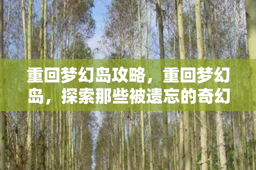 重回梦幻岛攻略，重回梦幻岛，探索那些被遗忘的奇幻之地