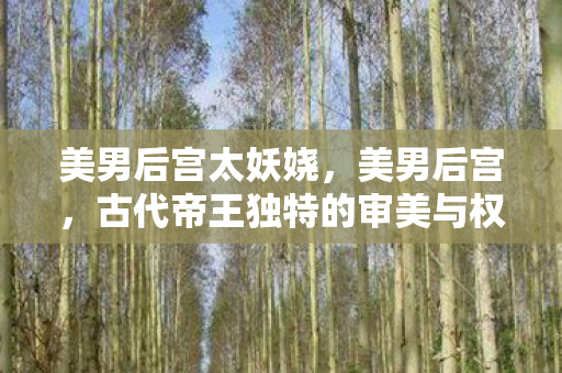 美男后宫太妖娆,美男后宫,古代帝王独特的审美与权力游戏 美男后宫太妖娆,美男后宫,古代帝王独特的审美与权力游戏