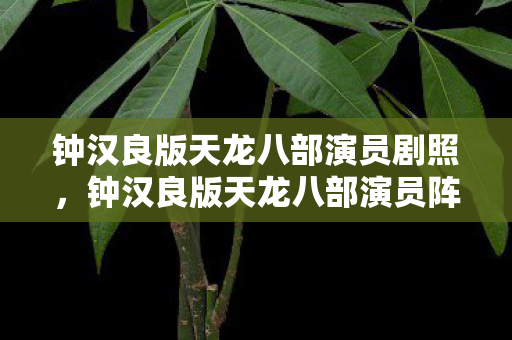 钟汉良版天龙八部演员剧照,钟汉良版天龙八部演员阵容揭秘 钟汉良版天龙八部演员剧照,钟汉良版天龙八部演员阵容揭秘