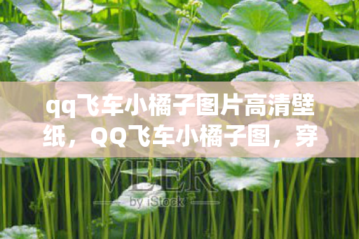 qq飞车小橘子图片高清壁纸，QQ飞车小橘子图，穿越赛道的青春记忆