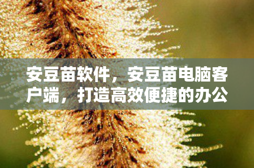 安豆苗软件，安豆苗电脑客户端，打造高效便捷的办公与学习新体验