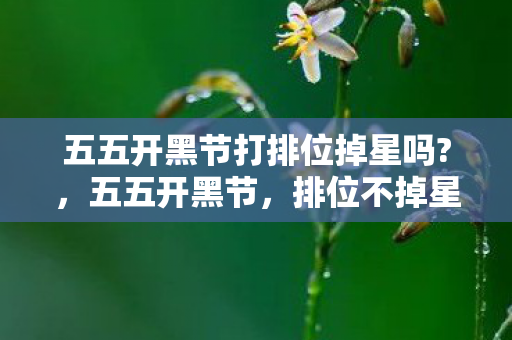 五五开黑节打排位掉星吗?，五五开黑节，排位不掉星，快乐无限！