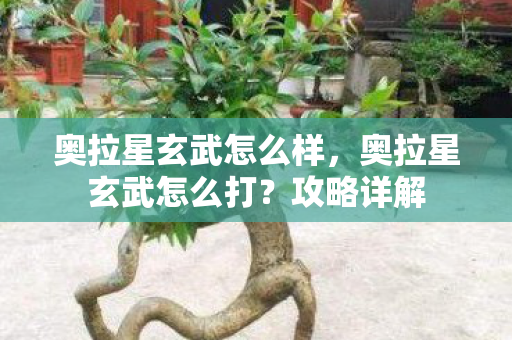 奥拉星玄武怎么样，奥拉星玄武怎么打？攻略详解