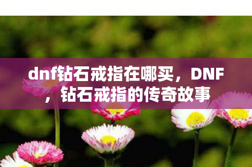 dnf钻石戒指在哪买，DNF，钻石戒指的传奇故事