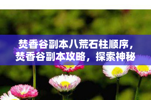 焚香谷副本八荒石柱顺序，焚香谷副本攻略，探索神秘世界的冒险之旅