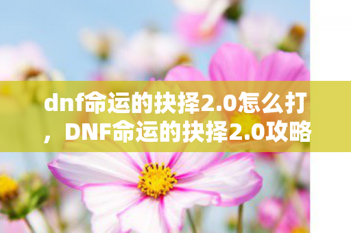 dnf命运的抉择2.0怎么打，DNF命运的抉择2.0攻略，打造最强角色，征服地下城与勇士