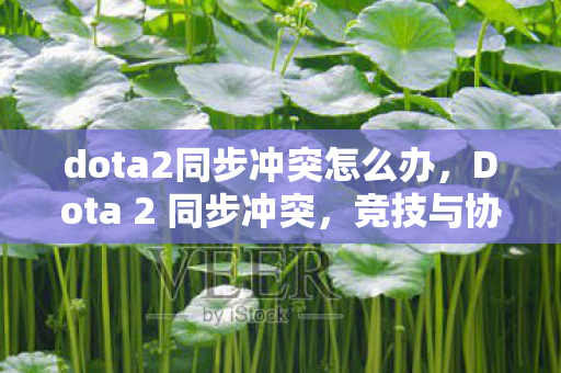 dota2同步冲突怎么办，Dota 2 同步冲突，竞技与协作的极致挑战
