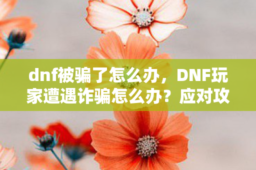dnf被骗了怎么办,DNF玩家遭遇诈骗怎么办?应对攻略与预防措施 dnf被骗了怎么办,DNF玩家遭遇诈骗怎么办?应对攻略与预防措施