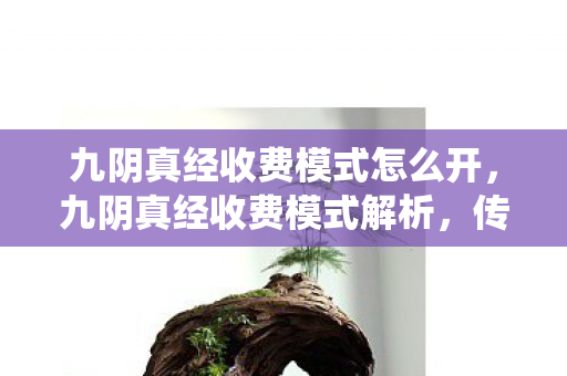 九阴真经收费模式怎么开，九阴真经收费模式解析，传统与创新的融合