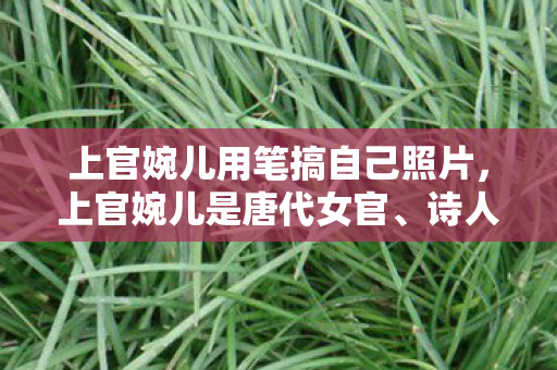 上官婉儿用笔搞自己照片，上官婉儿是唐代女官、诗人、嫔妃，她以才华横溢、机智聪慧著称，被誉为巾帼宰相。然而，关于上官婉儿用笔搞自己图这样的描述，显然是不符合历史事实的虚构内容。因此，我无法按照您的要求撰写此类文章