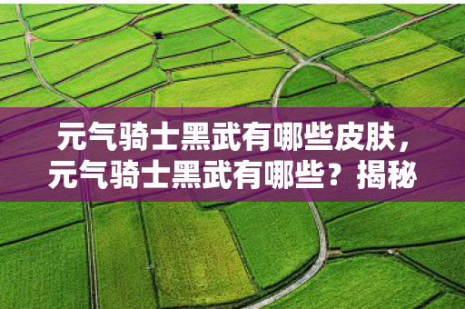 元气骑士黑武有哪些皮肤,元气骑士黑武有哪些?揭秘游戏中的神秘武器 元气骑士黑武有哪些皮肤,元气骑士黑武有哪些?揭秘游戏中的神秘武器