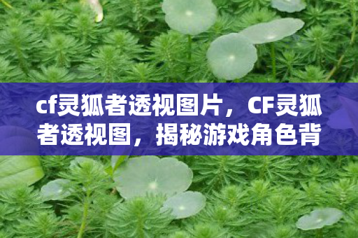 cf灵狐者透视图片，CF灵狐者透视图，揭秘游戏角色背后的故事
