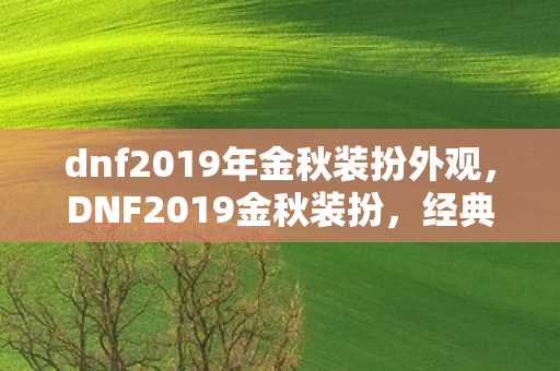 dnf2019年金秋装扮外观，DNF2019金秋装扮，经典再现，时尚与战斗的完美融合