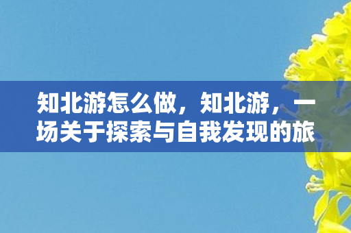 知北游怎么做，知北游，一场关于探索与自我发现的旅程