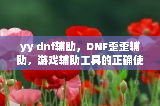 yy dnf辅助，DNF歪歪辅助，游戏辅助工具的正确使用与注意事项