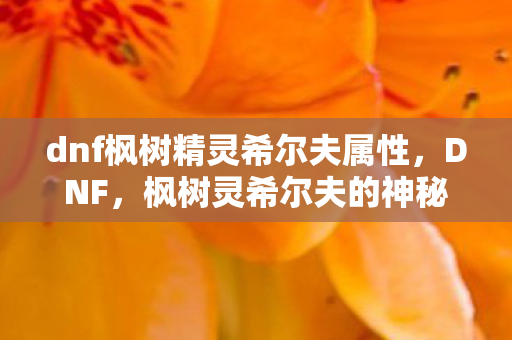 dnf枫树精灵希尔夫属性，DNF，枫树灵希尔夫的神秘传说