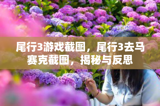 尾行3游戏截图，尾行3去马赛克截图，揭秘与反思