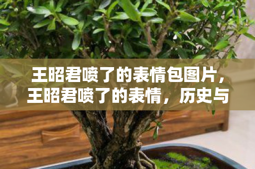 王昭君喷了的表情包图片,王昭君喷了的表情,历史与现代的交织 王昭君喷了的表情包图片,王昭君喷了的表情,历史与现代的交织