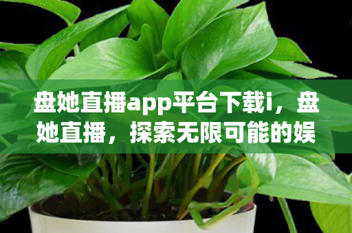 盘她直播app平台下载i，盘她直播，探索无限可能的娱乐新天地