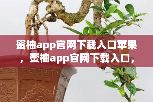 蜜柚app官网下载入口苹果,蜜柚app官网下载入口,探索智能生活的便捷方式 蜜柚app官网下载入口苹果,蜜柚app官网下载入口,探索智能生活的便捷方式