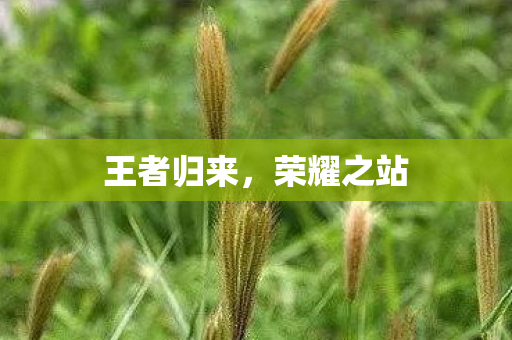 王者归来，荣耀之站