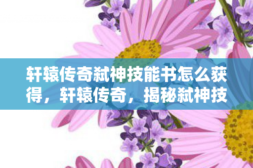 轩辕传奇弑神技能书怎么获得，轩辕传奇，揭秘弑神技能书的传奇之旅
