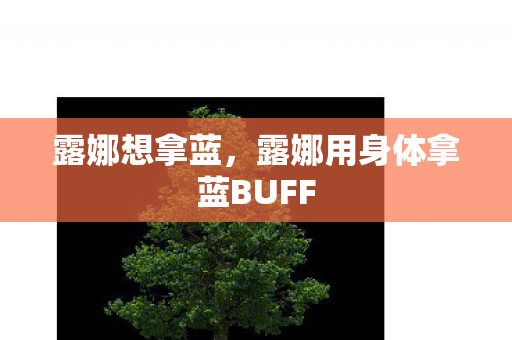 露娜想拿蓝，露娜用身体拿蓝BUFF