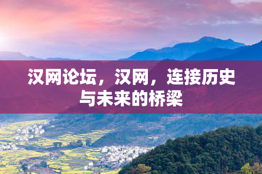 汉网论坛，汉网，连接历史与未来的桥梁