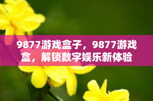 9877游戏盒子,9877游戏盒,解锁数字娱乐新体验 9877游戏盒子,9877游戏盒,解锁数字娱乐新体验