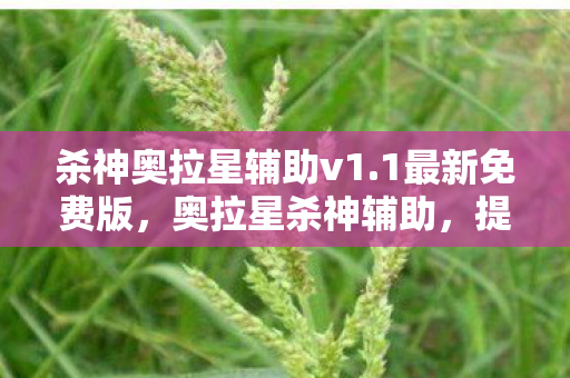 杀神奥拉星辅助v1.1最新免费版，奥拉星杀神辅助，提升游戏体验的利器