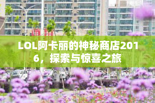 LOL阿卡丽的神秘商店2016，探索与惊喜之旅