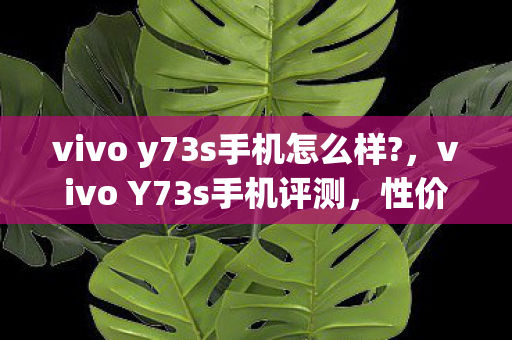 vivo y73s手机怎么样?，vivo Y73s手机评测，性价比与实用性的完美结合