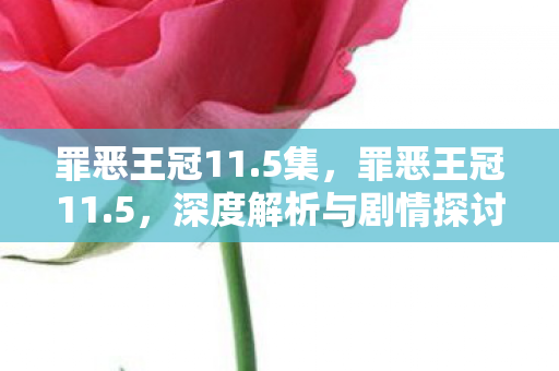 罪恶王冠11.5集，罪恶王冠11.5，深度解析与剧情探讨