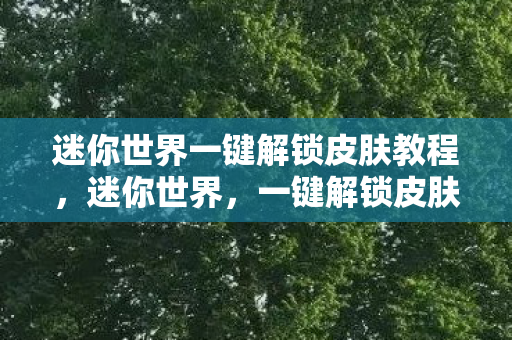 迷你世界一键解锁皮肤教程,迷你世界,一键解锁皮肤的秘密与探索 迷你世界一键解锁皮肤教程,迷你世界,一键解锁皮肤的秘密与探索